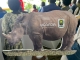 Traveossa Joins Uganda’s First-Ever Rhino Naming Ceremony