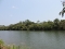 Unbeatable Riverfront Parcels in Sittee River South, Belize Unbeatable Riverfront Parcels in Sittee River South, Belize